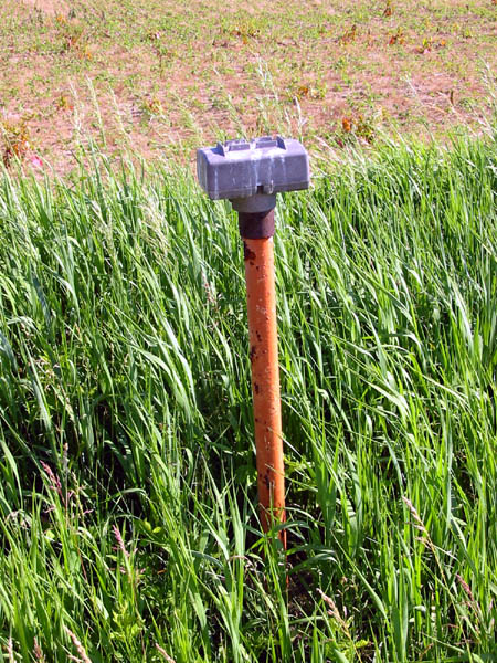 M-60 Drive-In Theatre - Speaker Pole - Photo From Water Winter Wonderland (newer photo)
